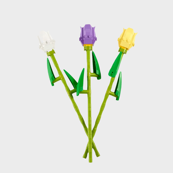 Tulips (Pack of 6)